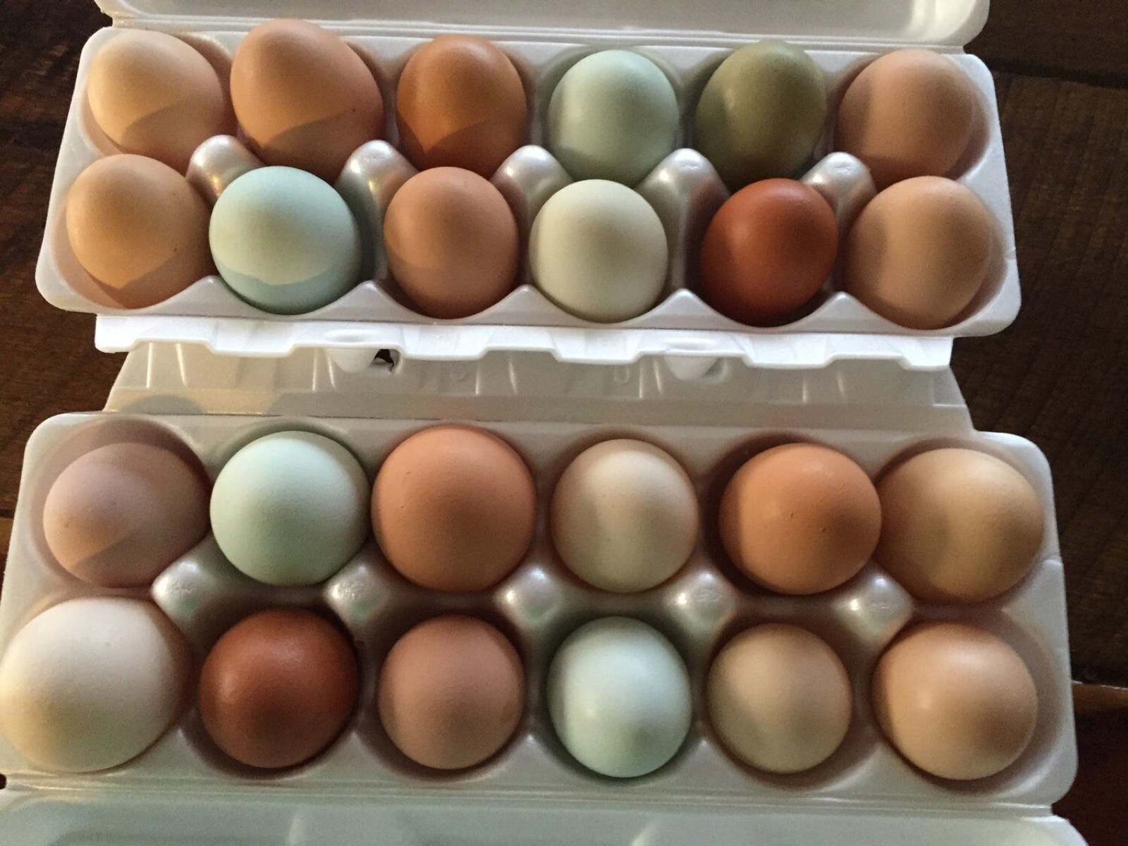 A carton of naturally multicolored fresh eggs — blue, green and brown — from the farm's hens
